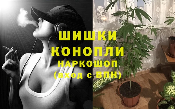 MESCALINE Магас
