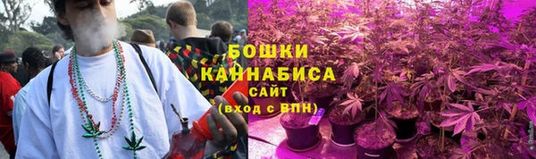 ГАЛЛЮЦИНОГЕННЫЕ ГРИБЫ Магадан