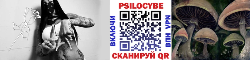 закладки Яблоновский Галлюциногенные грибы ЛСД